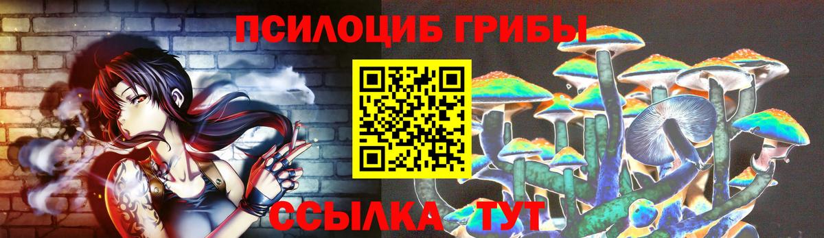 Псков  Галлюциногенные грибы Psilocybe  Вход с VPN 